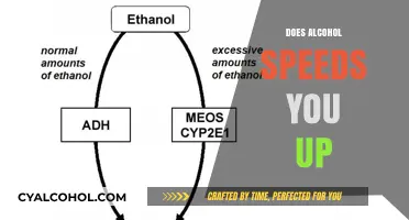 Exploring the Myth: Does Alcohol Really Speed You Up?
