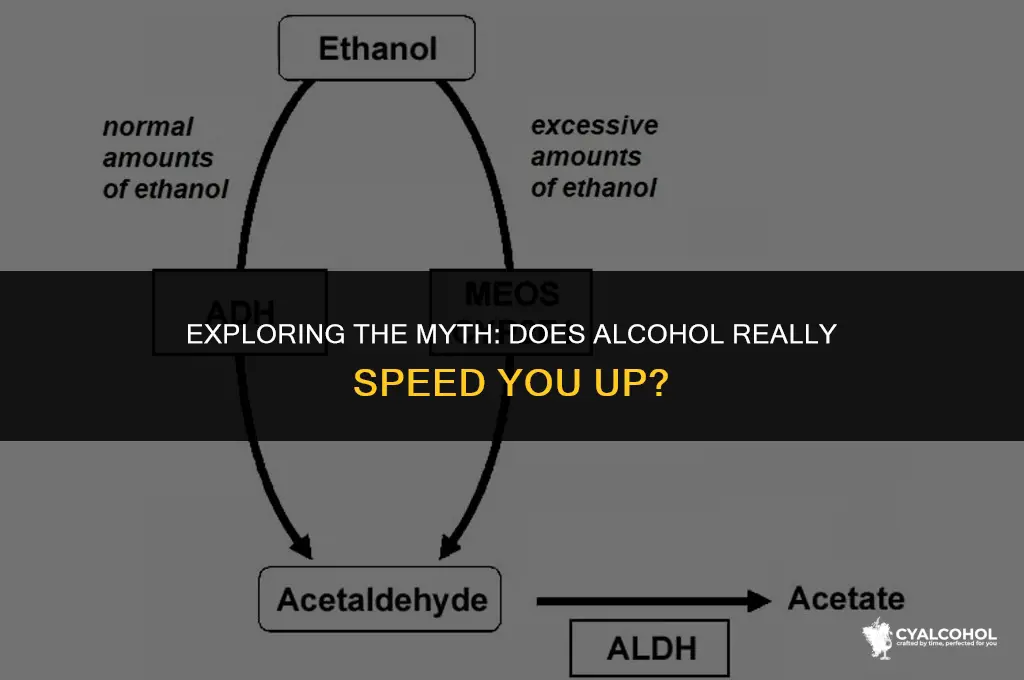 does alcohol speeds you up