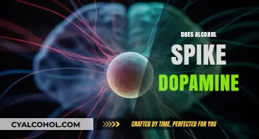 Alcohol and Dopamine: Unraveling the Brain's Reward System Connection
