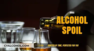 Does Alcohol Expire? Shelf Life and Storage Tips Explained