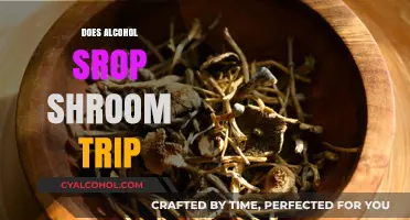 Exploring the Effects: Alcohol's Impact on a Shroom Trip