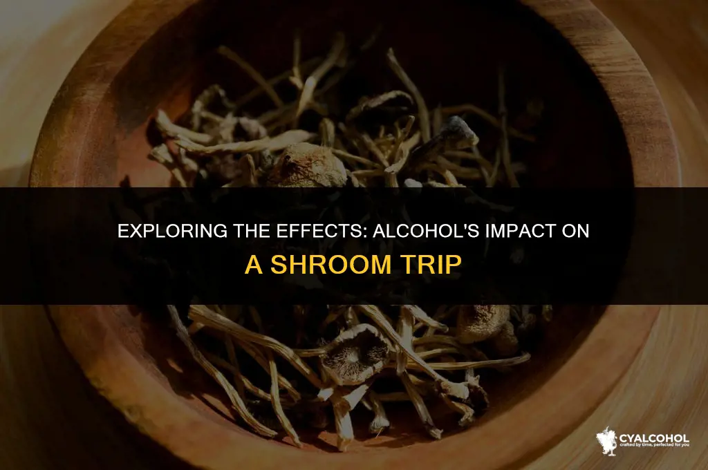 does alcohol srop shroom trip
