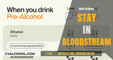 Understanding Alcohol Metabolism: How Long Does It Stay in Your Bloodstream?