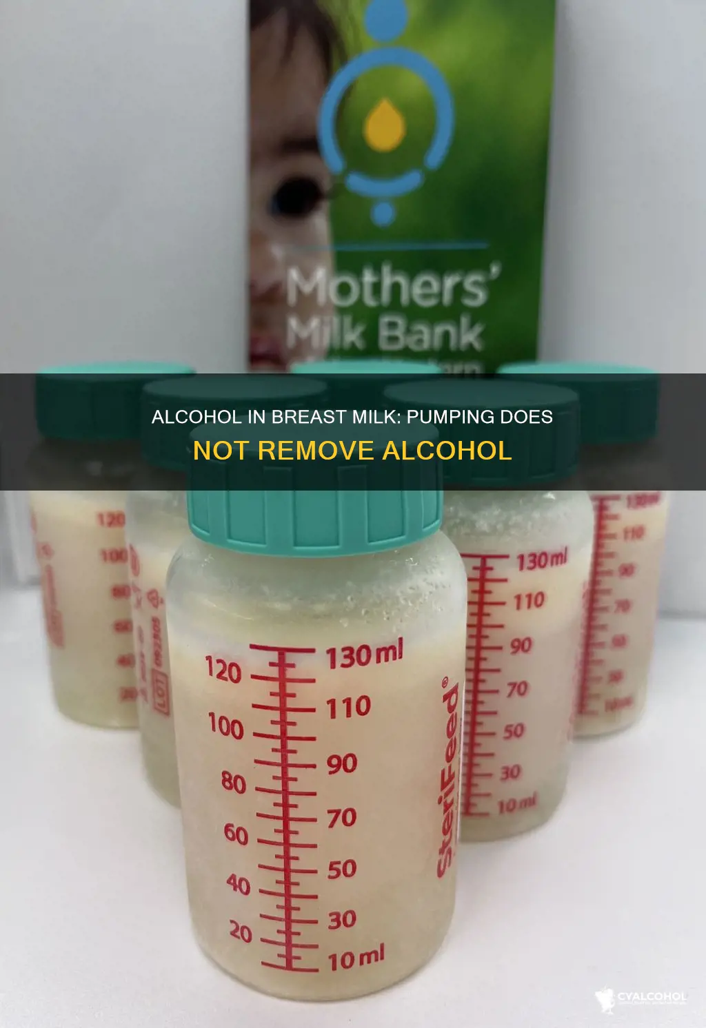 does alcohol stay in breast milk if not pumped
