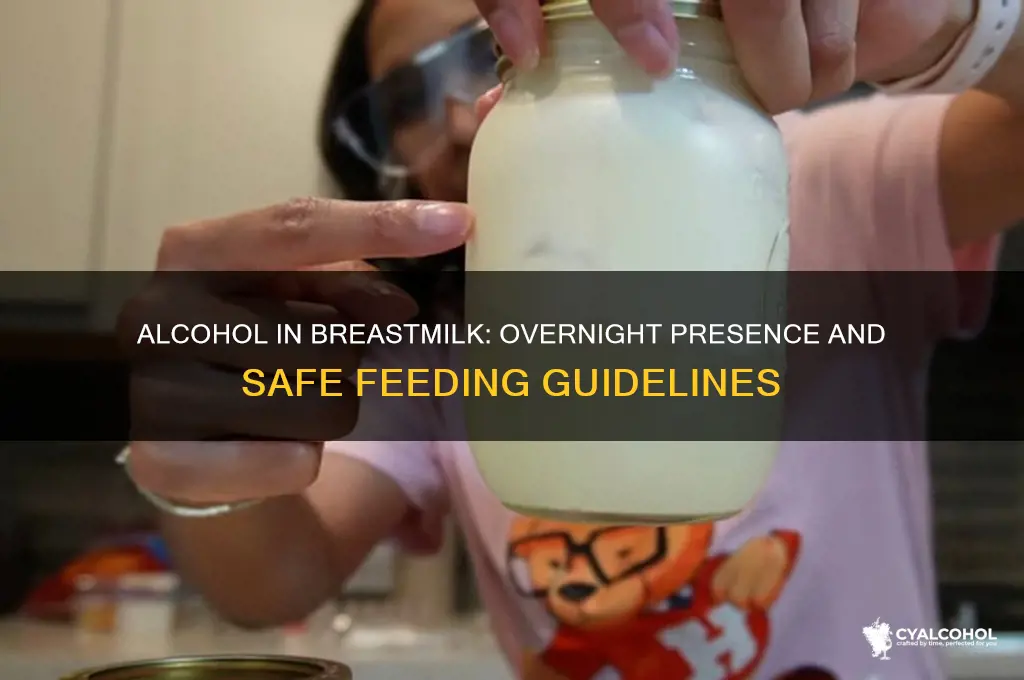 does alcohol stay in breastmilk overnight