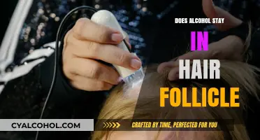 Does Alcohol Stay in Hair Follicles? Testing, Detection, and Facts