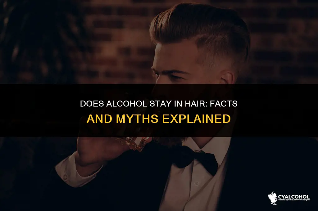 does alcohol stay in hair