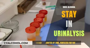 Understanding Alcohol Detection: A Guide to Urinalysis Testing