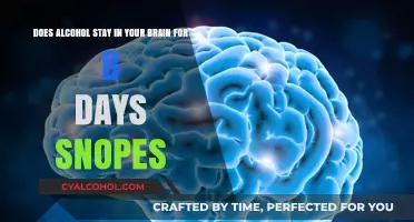 Alcohol's Long-Lasting Effects: Brain Impact for Days?