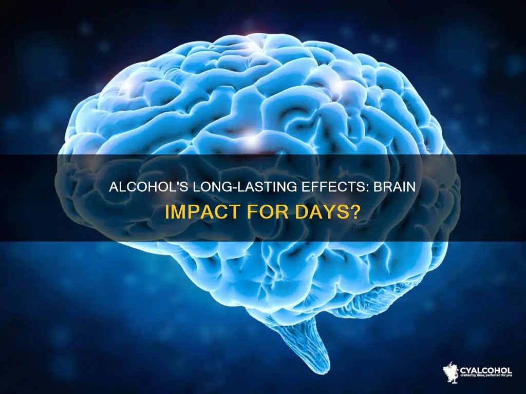 does alcohol stay in your brain for 8 days snopes