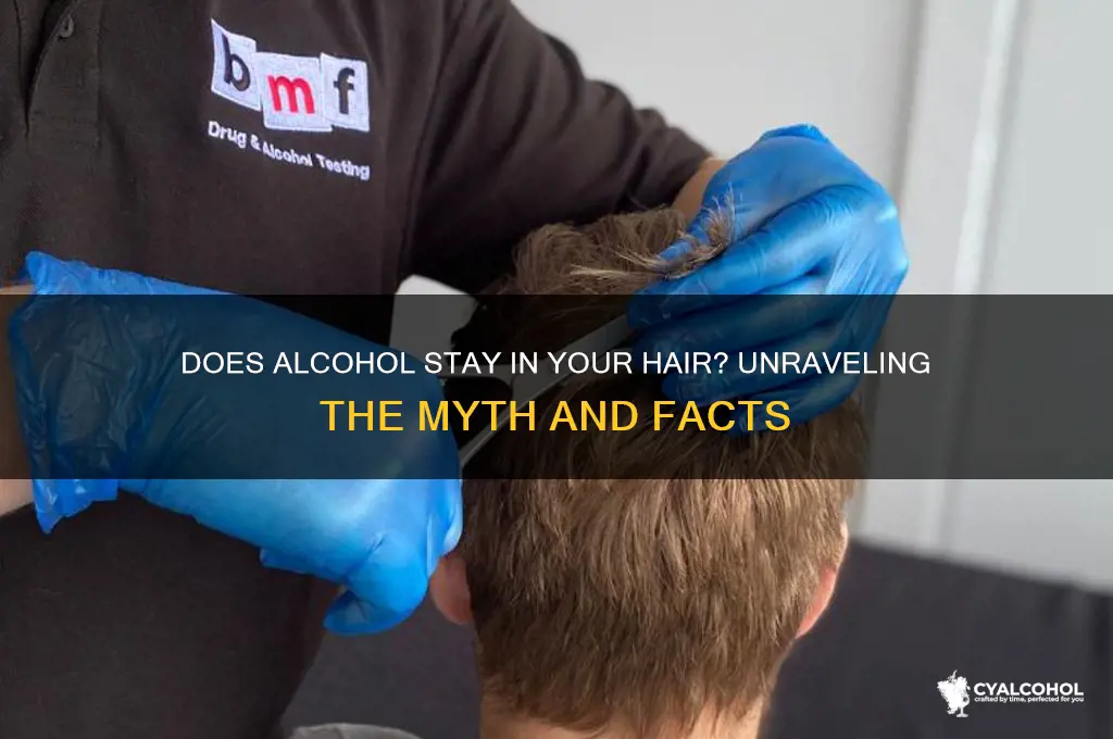 does alcohol stay in your hair