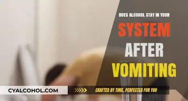 Vomiting and Alcohol: How Long Does It Stay in Your System?