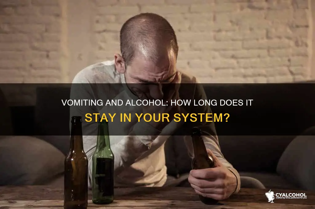 does alcohol stay in your system after vomiting