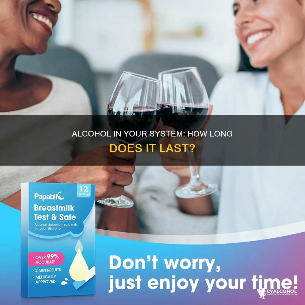 does alcohol stay in your system for 10 days