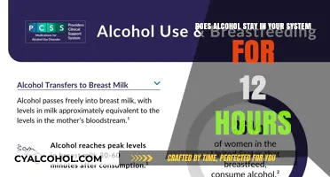 Alcohol's Staying Power: 12-Hour Myth Debunked