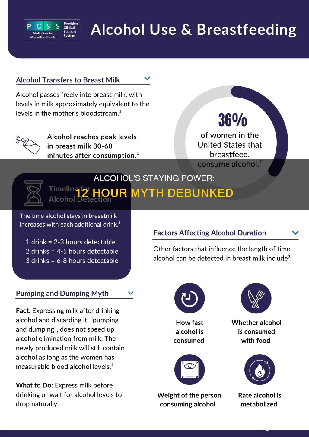 does alcohol stay in your system for 12 hours
