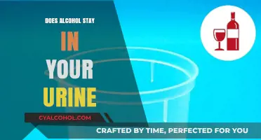 How Long Does Alcohol Remain Detectable in Your Urine?
