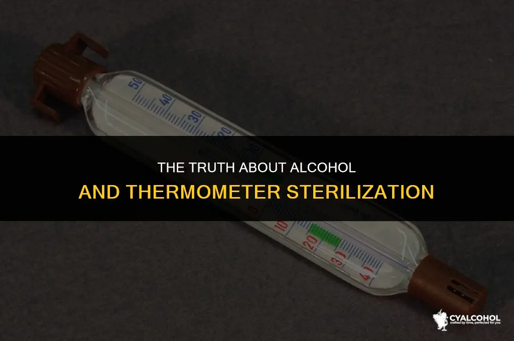 does alcohol sterilize a thermometer