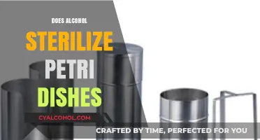The Truth About Alcohol and Petri Dish Sterilization