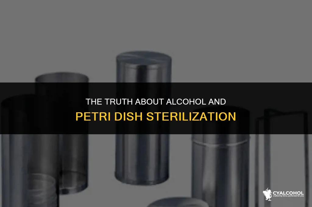 does alcohol sterilize petri dishes