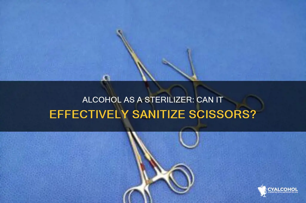does alcohol sterilize scissors