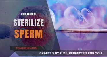 Does Alcohol Sterilize Sperm? Separating Fact from Fiction