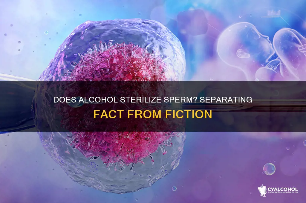 does alcohol sterilize sperm