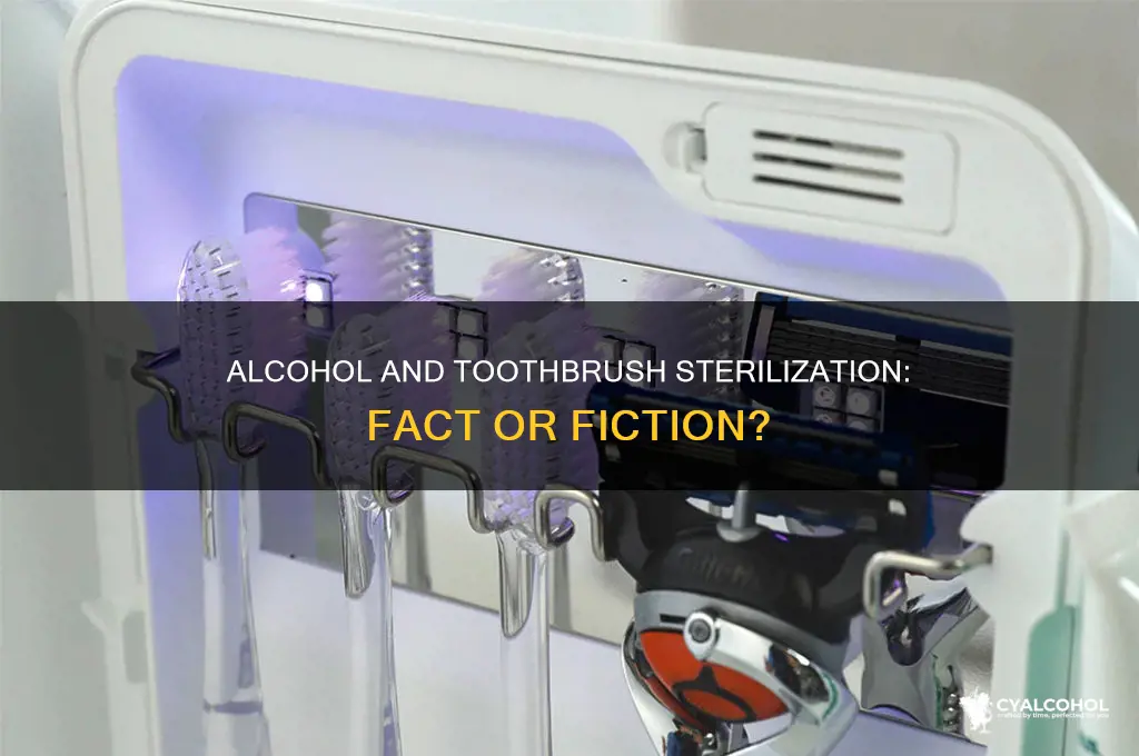 does alcohol sterilize toothbrush