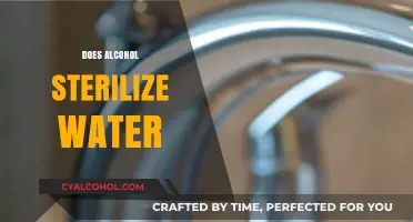 Can Alcohol Purify Water? Debunking Myths and Facts