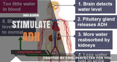 Alcohol and ADH: Unraveling the Stimulatory Effects on Hormone Release