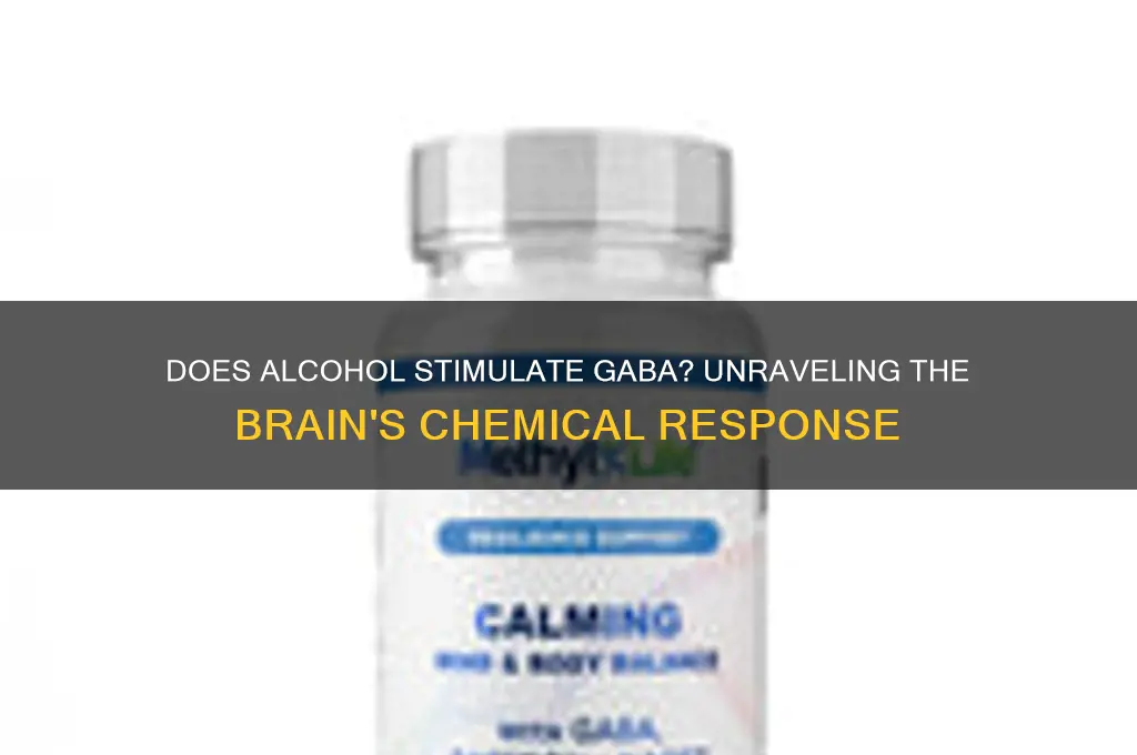 does alcohol stimulate gaba