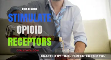 Exploring the Link: Alcohol's Impact on Opioid Receptors