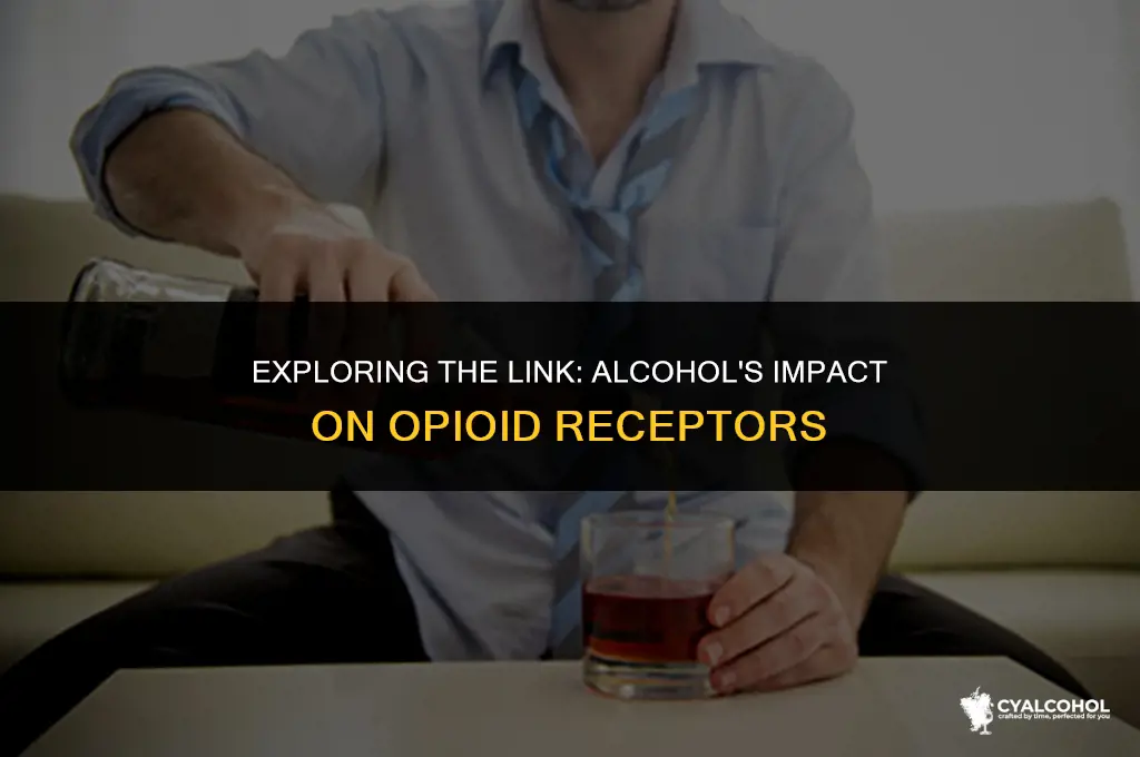 does alcohol stimulate opioid receptors