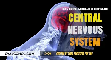 Alcohol's Effect on the Central Nervous System