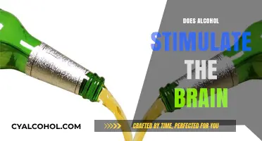 Exploring the Effects: Does Alcohol Stimulate or Impair Brain Function?