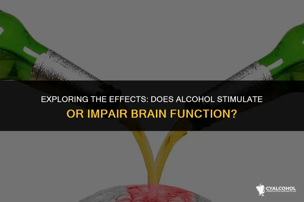 does alcohol stimulate the brain