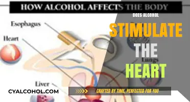Exploring the Effects of Alcohol on Heart Health: Stimulation or Strain?