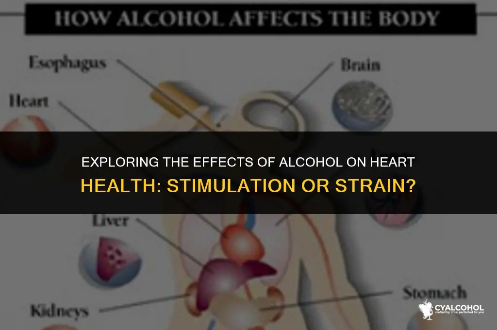 does alcohol stimulate the heart