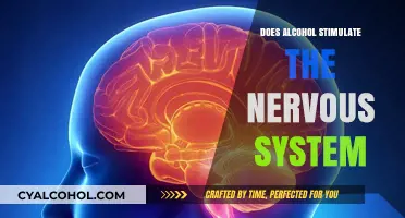 Alcohol's Impact: Stimulant or Depressant on the Nervous System?