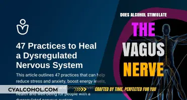 Alcohol and the Vagus Nerve: Stimulation or Suppression?