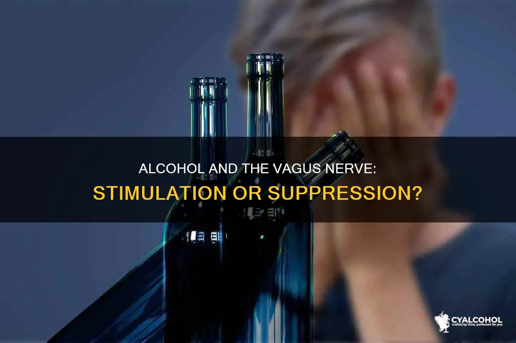 does alcohol stimulate the vagus nerve