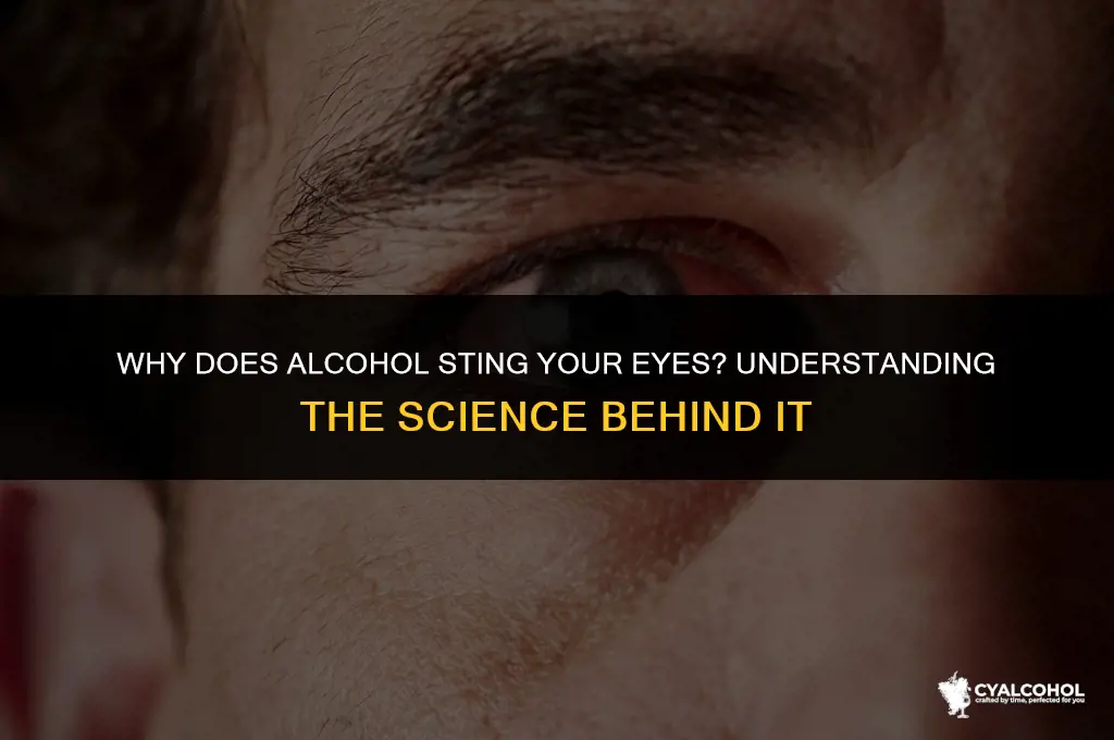 does alcohol sting your eyes