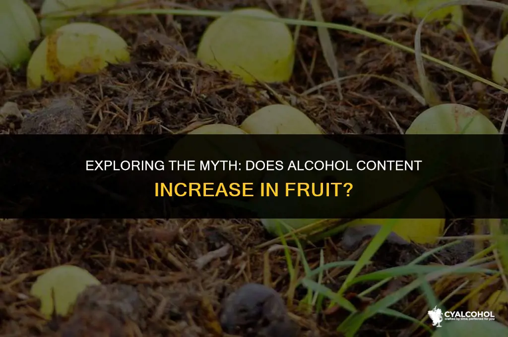 does alcohol strengthen in fruit