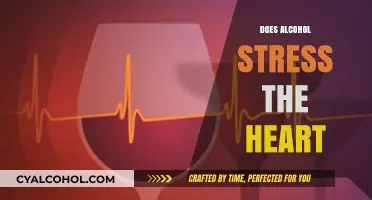 The Impact of Alcohol on Heart Health: What You Need to Know