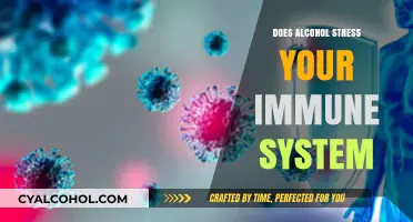 Alcohol's Impact: How Drinking Weakens Your Immune System