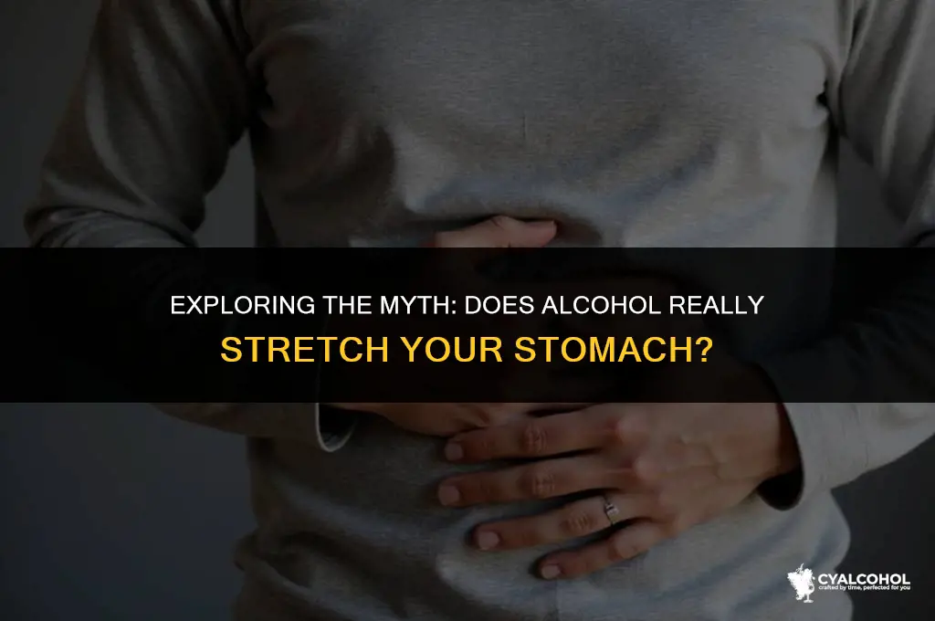 does alcohol stretch your stomach