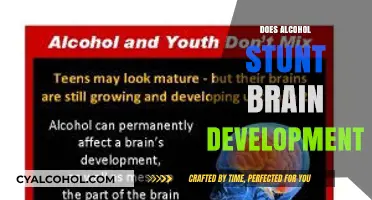Unveiling the Truth: Alcohol's Impact on Brain Development