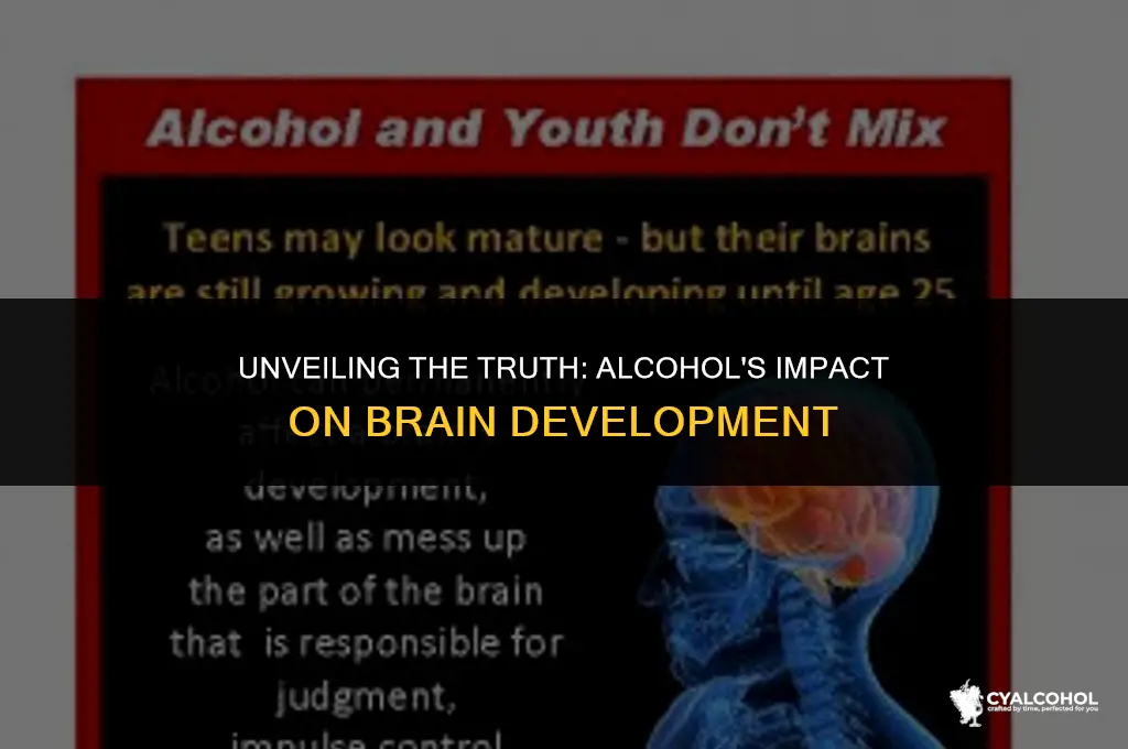 does alcohol stunt brain development