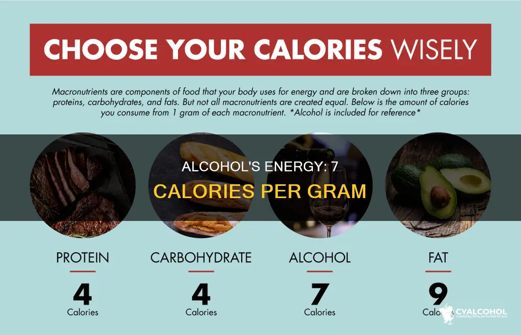 does alcohol supply 7 calories of energy per gram