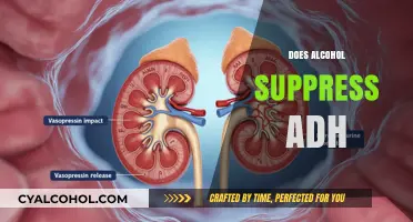 Alcohol's Impact on ADH: Unraveling the Hormone Suppression Mystery